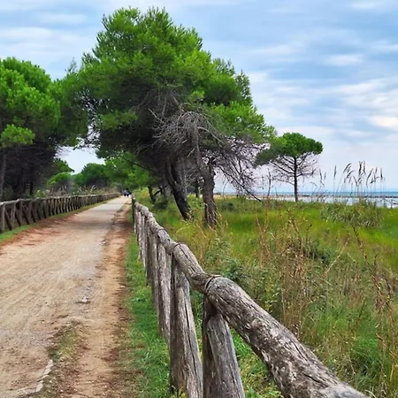 Charming With Garden