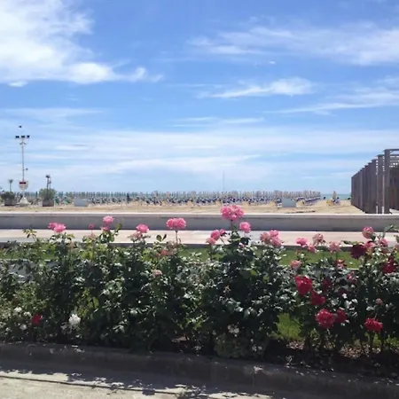 Charming With Garden Bibione