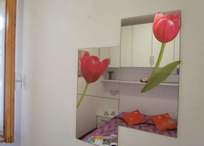 Charming With Garden *