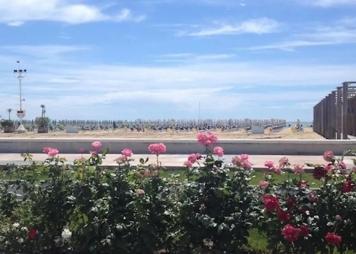 Charming With Garden Bibione